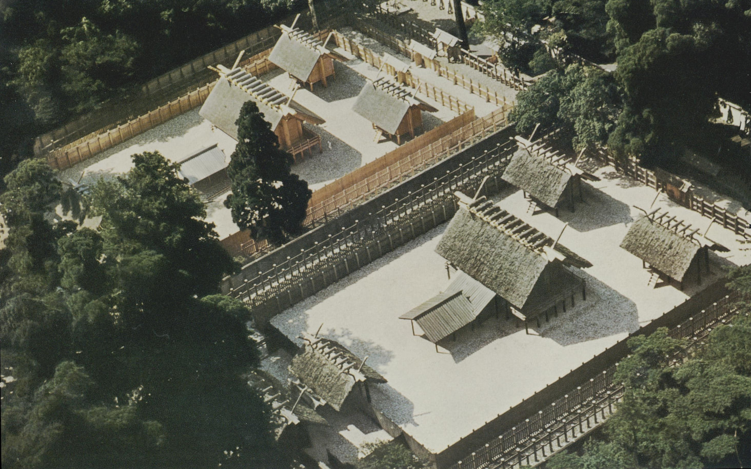 An aerial view of the Inner Shrine (naikū) at Ise, showing the old and new buildings, Felicia. G. Bock, 1974